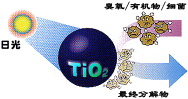 &#21338;&#40060;&#32593;&#39029;&#29256;&#30331;&#20837;&#30028;&#38754;&#45;&#21338;&#40060;&#40;&#20013;&#22269;&#41;