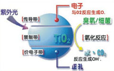 &#21338;&#40060;&#32593;&#39029;&#29256;&#30331;&#20837;&#30028;&#38754;&#45;&#21338;&#40060;&#40;&#20013;&#22269;&#41;